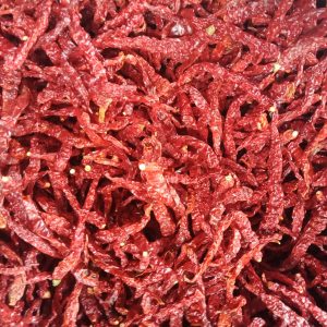 Dry Red Chilli - Sygenta Byadgi