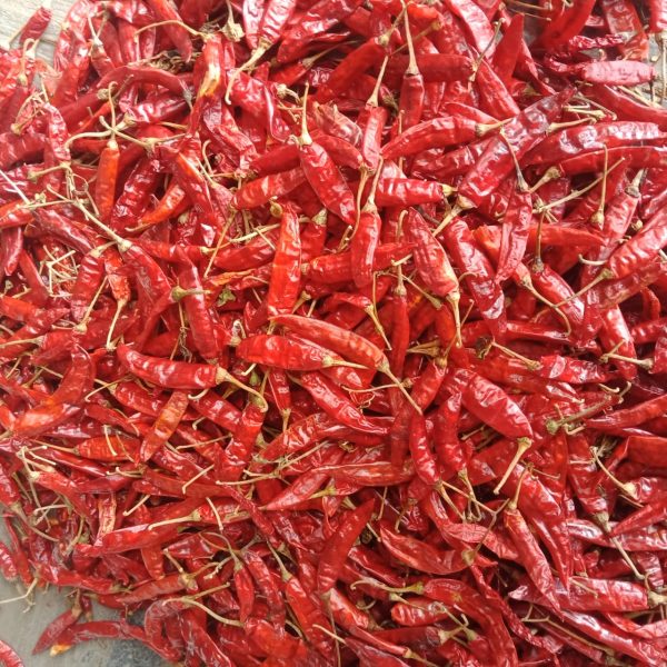 Dry Red Chilli - Sanam Best